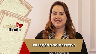 Explica Direito Filiação Socioafetiva  2019 [upl. by Adnyc]