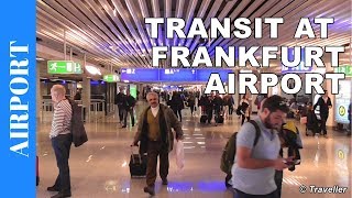 TRANSIT WALK AT FRANKFURT Airport FRA Terminal 1  Connection Flight Transfer Arriving amp Departing [upl. by Enivid]